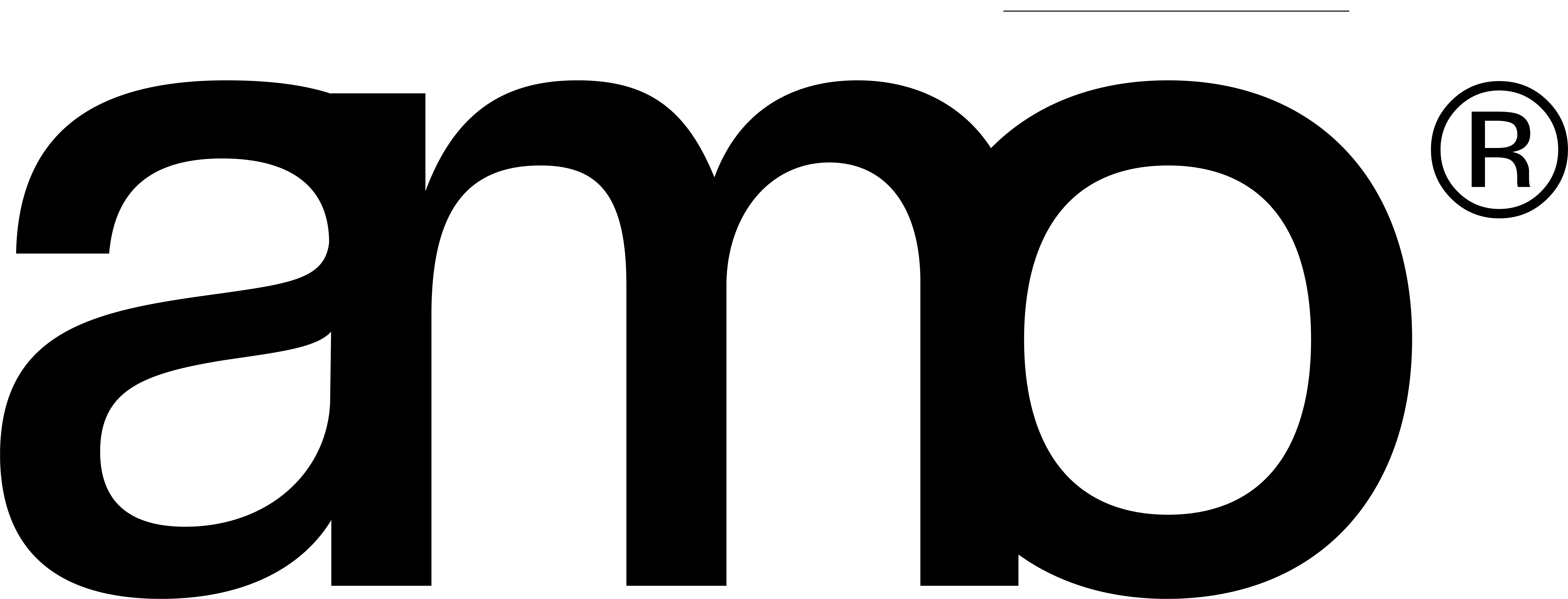 amo® organic bone broth.