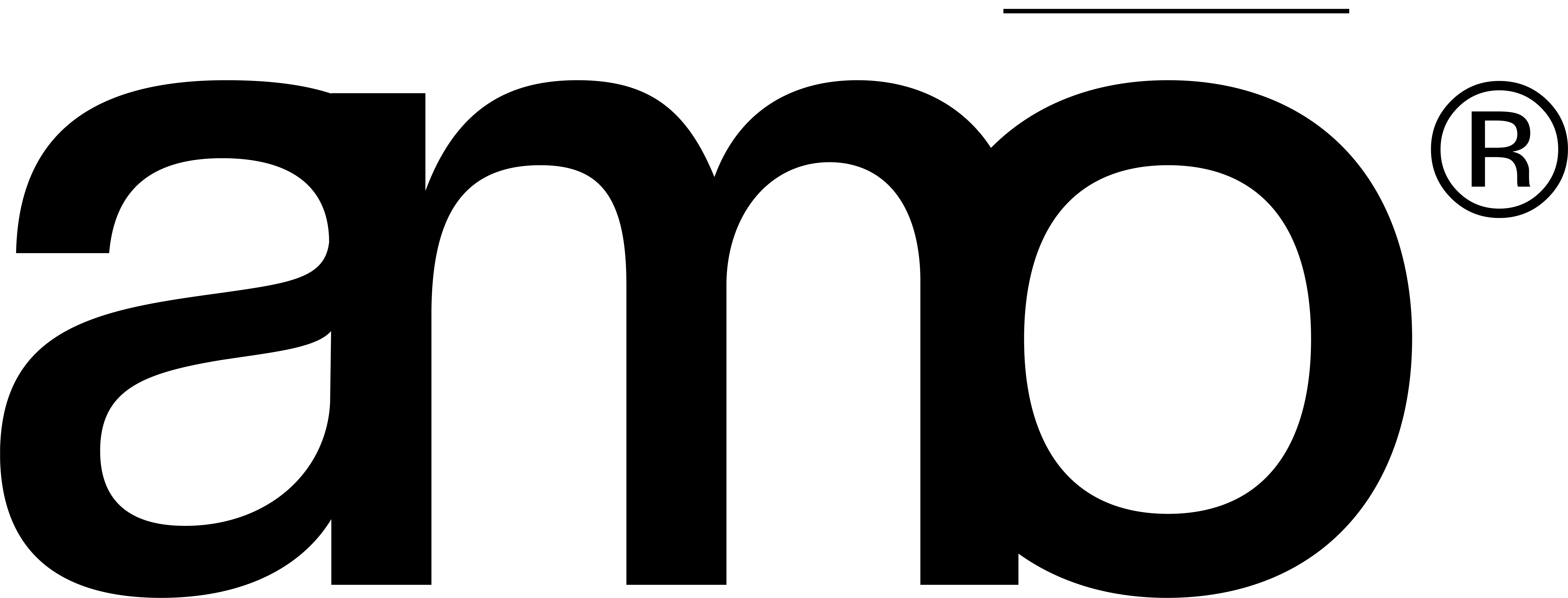 amo® organic bone broth.